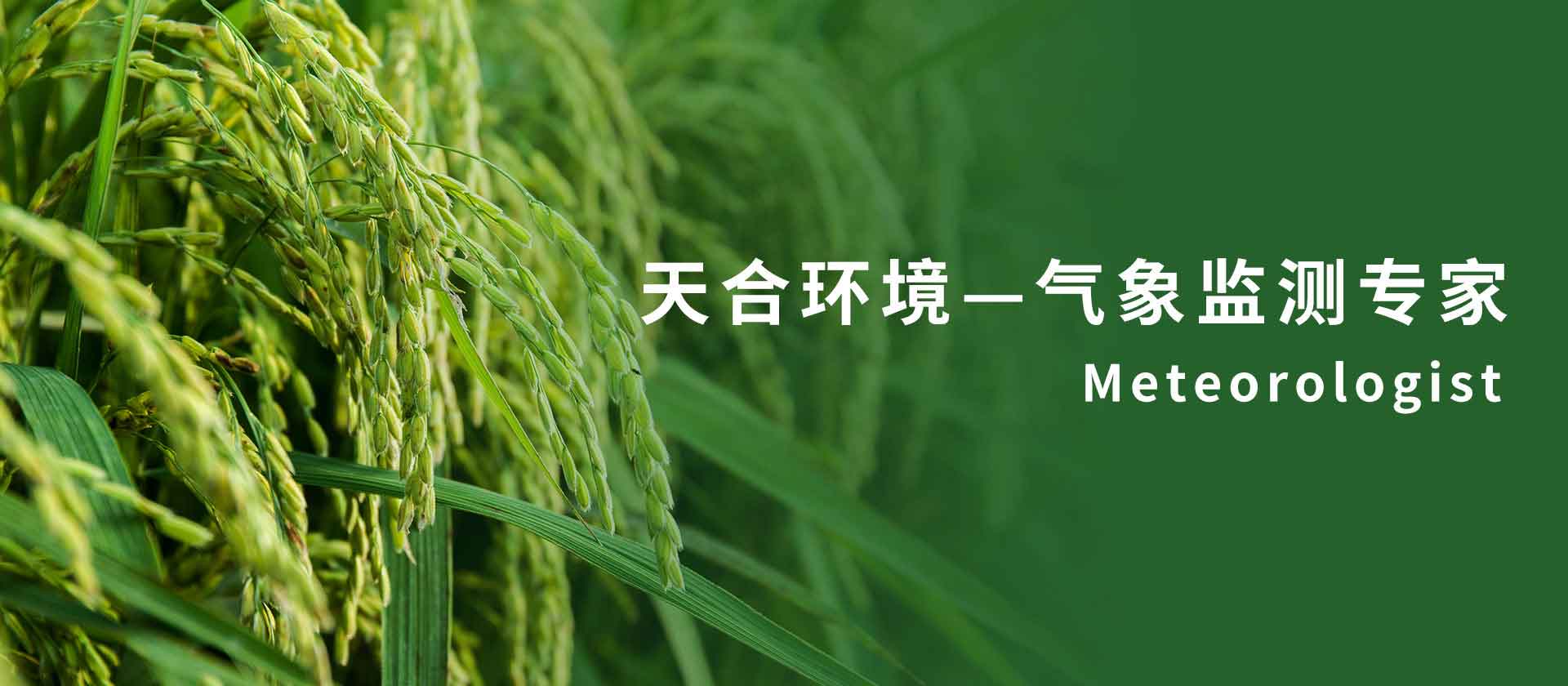 農業氣象站-山東天合環境科技